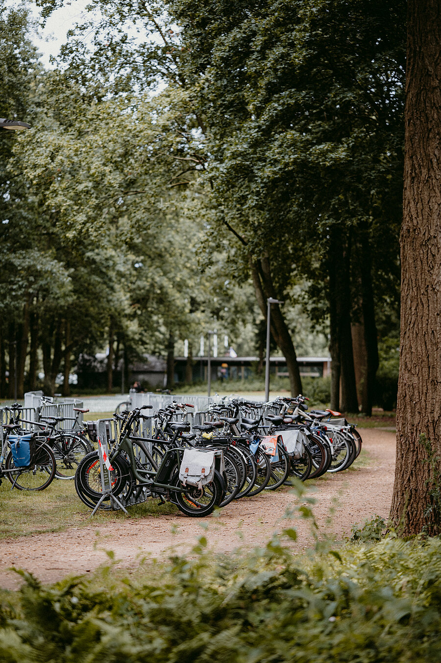 By bike or by foot